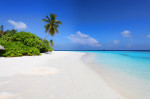 Malediven Insel Traumstrand, Palmen und Meer